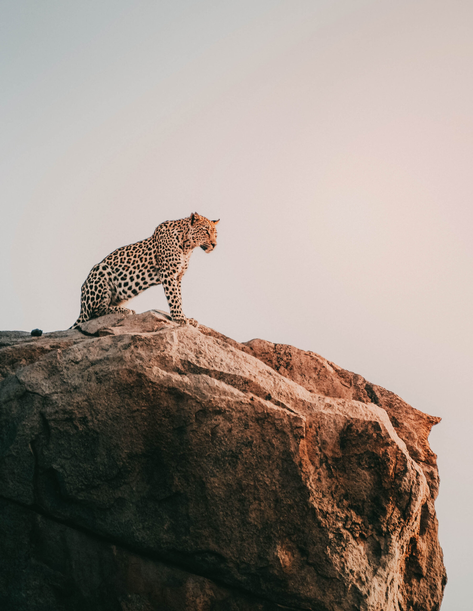 geranimo-wYy3rvvgjAU-unsplash