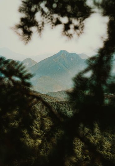 Cardamom Mountains​