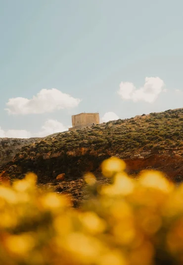 Comino-y-Blue-Lagoon_-scaled