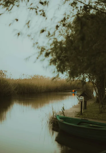 Delta-del-Danubio_-scaled