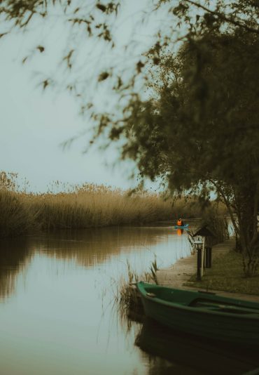 Delta del Danubio​