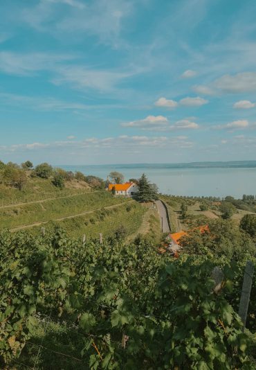 Lago Balaton