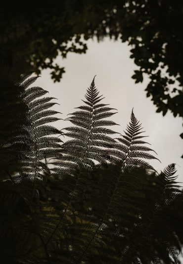 Rotorua