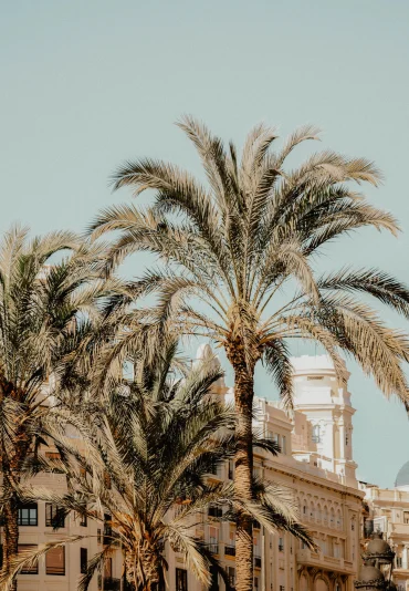 Valencia_-scaled