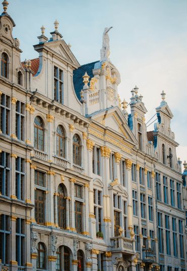 bruselas
