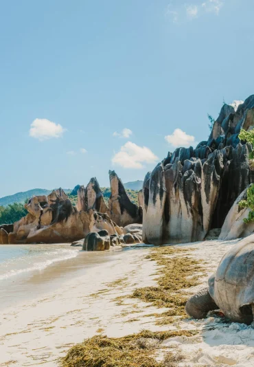 curieuse-island-seychelles