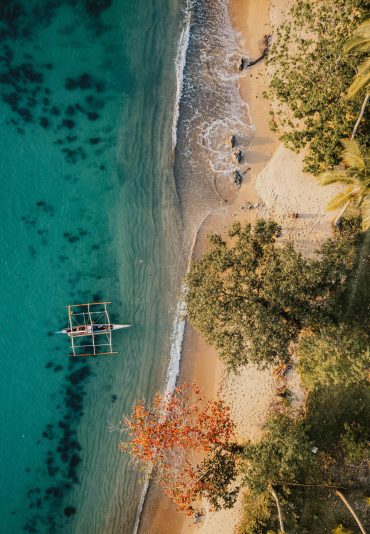 el nido