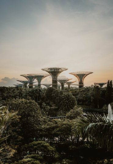 gardens