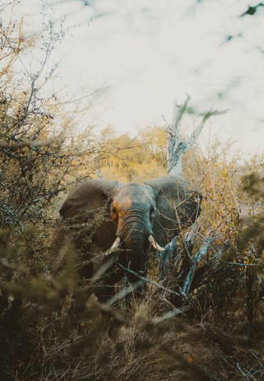 graham-hunt-q-vG6Sm2e7Y-unsplash