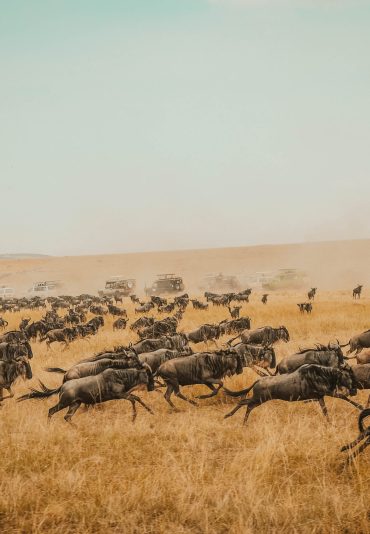 harshil-gudka-aKcVSSDotgo-unsplash