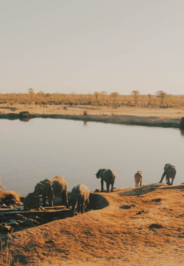 hwange