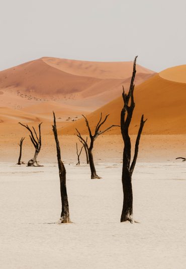 Deadvlei