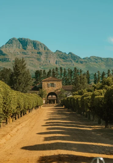 Stellenbosch y Franschhoek