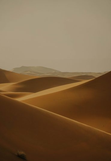 sander-traa-9aZOqgTOtwg-unsplash