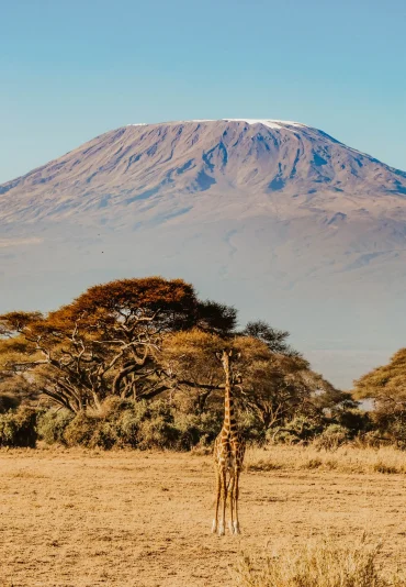 Monte Kilimanjaro