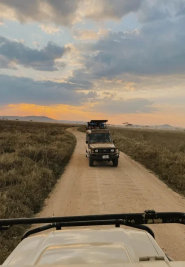 -uzuri-safaris-tanzania-AlOAqUS7_YA-unsplash-scaled